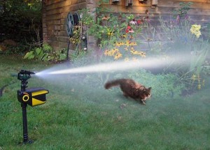 Contech Scarecrow Wassersprinkler